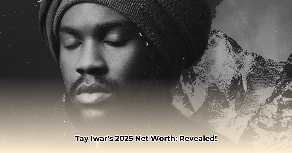 tay-iwar-net-worth